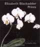 Elizabeth Blackadder Prints, Christopher Allan 