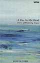A Fire in His Head: The Adventures of Wandering Aengus, Loreto Todd 