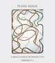 Plane Image: A Brice Marden Retropective, Gary Garrels 