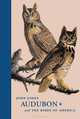John James Audubon and The Birds of America : A Visionary Achievement in Ornithology Illustration, Lee Vedder 