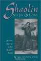 Shaolin Nei Jin Qi Gong: Ancient Healing in the Modern World, Peter Fenton 