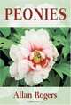 Peonies, Allan Rogers 