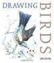 Drawing Birds, John Busby 