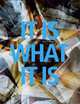 It Is What It Is: Recent Acquisitions of New Canadian Art, Josee Drouin-Brisebois, Greg A. Hill, Andrea Kunard 