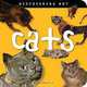 Discovering Art Cats, John Harris, Catherine Lorenz 