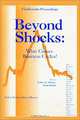 Beyond Shocks: What Causes Business Cycles, Jeffrey G. Fuhrer, Scott Schuh 