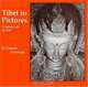 Tibet In Pictures: A Journey Into The Past (Tibet Art and Culture Series), gotami Govind 