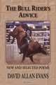 The Bull Rider