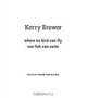 Where No Bird Can Fly Nor Fish Can Swim: Stills from Painting, Kerry Brewer 