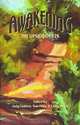 Awakening: The Upside of Y2K, Judy Laddon, Tom Atlee, Larry Shook 