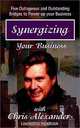 Synergizing Your Business: The Bridges to Success 5 Outrageous and Outstanding Bridges to Power Up Your Business, Chris Alexander 