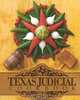 Texas Judicial Cookbook, Dennis R. Mott 