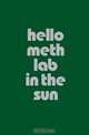 Hello Meth Lab in the Sun, Liam Gillick, Alison de Lima Greene, David Hollander, Raimundas Malasauskas 