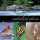Cumberland Odyssey: A Journey in Pictures and Words Along Tennessee