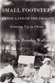 Small Footsteps in the Land of the Dragon, Barbara Brooks Wallace 