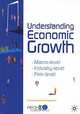 Understanding Economic Growth: Macro-Level, Industry-Level, Firm-Level, 