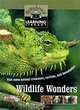 Wildlife Wonders: Visit Some Animal Tricksters, Rarities and Homebodies, 