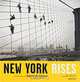 New York Rises, Eugene de Salignac 