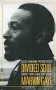 Divided Soul: The Life of Marvin Gaye, David Ritz 
