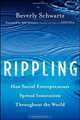 Rippling: How Social Entrepreneurs Spread Innovation Throughout the World, Beverly Schwartz 