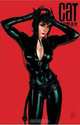 Catwoman: Catwoman Dies, Will Pfeifer, David Lopez, Alvaro Lopez 