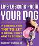 Life Lessons From Your Dog: If drinking from the toilet is wrong, I don