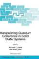 Manipulating Quantum Coherence in Solid State Systems, Edited by Michael E. Flatte and Ionel Tifrea 