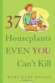 37 Houseplants Even You Can