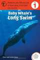 Baby Whale