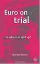 Euro on Trial : To Reform or Split Up?, Brendan Brown 