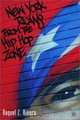 New York Ricans from the Hip Hop Zone, Raquel Z. Rivera 