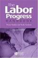 Labor Progress Handbook, Penny Simkin, Ruth S. Ancheta 