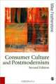 Consumer Culture and Postmodernism, Mike Featherstone 