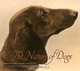 The Nature of Dogs, Mary Ludington 