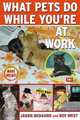 What Pets Do While You