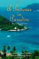 A Prisoner In Paradise: The True Adventures of a Forbidden Love Affair In Zihuatanejo, Mexico, Owen Lee 