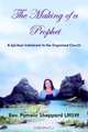 The Making of a Prophet, Rev Pamela Sheppard Lmsw 