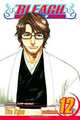 Bleach, Volume 12, Tite Kubo 