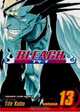 Bleach, Volume 13, Tite Kubo 