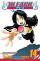 Bleach, Vol. 14, 