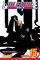 Bleach, Volume 15, 