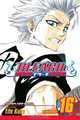 Bleach, Volume 16, 