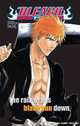 Bleach SOULs. Official Character Book, Tite Kubo 
