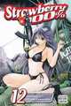 Strawberry 100%, Vol. 12 (Strawberry 100 %), Mizuki Kawashita 