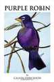 Purple Robin, Calvin Dirickson 