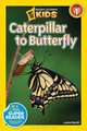 National Geographic Readers: Caterpillar to Butterfly, Laura Marsh 
