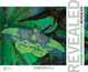 Adobe Photoshop CS3 Revealed, Elizabeth Eisner Reding 