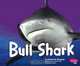 Bull Shark, Deborah Nuzzolo 