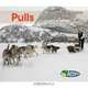Pulls (How Things Move), Sarah Shannon 
