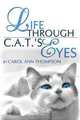 Life Through C.A.T.